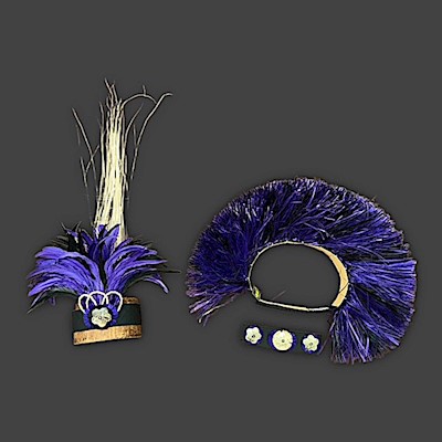 Ready Made Costume: Purple & Black Bundle                                  